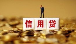 深圳生意哪有个人借贷-深圳生意小额贷款公司-深圳生意私借空放免费上门
